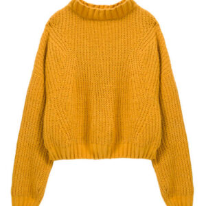 Sweater (Dry Clean)