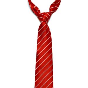 Tie (Dry Clean)